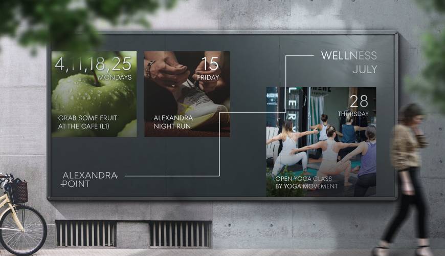 镇安县画册设计公司如何进行品牌审核